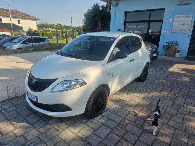 Lancia Ypsilon 1.0 FireFly 5 porte S&S Hybrid Ecochic Silver usato a CIVITANOVA MARCHE