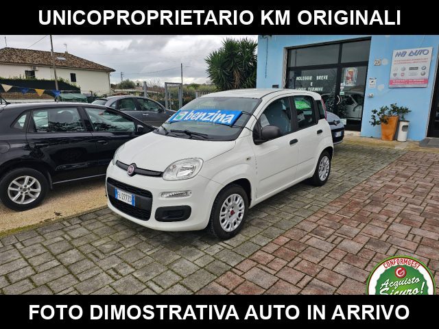 Fiat Panda 1.2 Easy usato a CIVITANOVA MARCHE