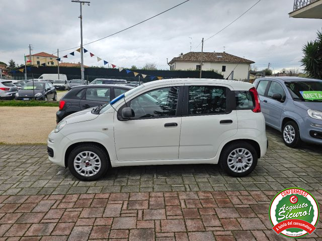 Fiat Panda 1.2 Easy - foto 2 di 4
