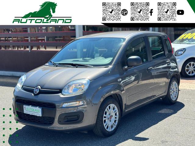 Fiat Panda 1.0 FireFly S&S Hybrid Sensori Parcheggio usato a GUIDONIA MONTECELIO