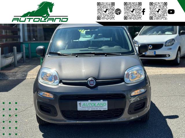 Fiat Panda 1.0 FireFly S&S Hybrid Sensori Parcheggio usato a GUIDONIA MONTECELIO