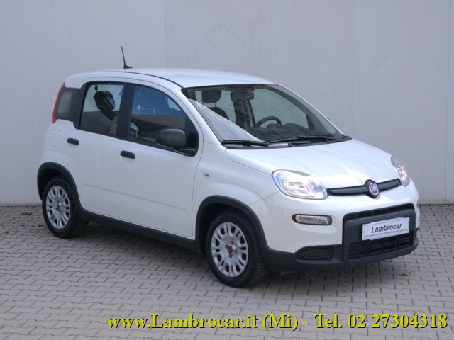 Fiat Panda 1.0 FireFly S&S Hybrid 70cv, del 2024, 74.750 km, in vendita a Cologno Monzese (MI)