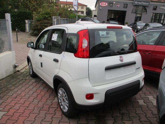 Fiat Panda 1.0 S&S Hybrid - BLUETOOTH/5Posti - foto 3 di 4