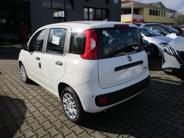 Fiat Panda 1.0 FireFly S&S Hybrid - Sensori/Bluetooth - foto 4 di 4