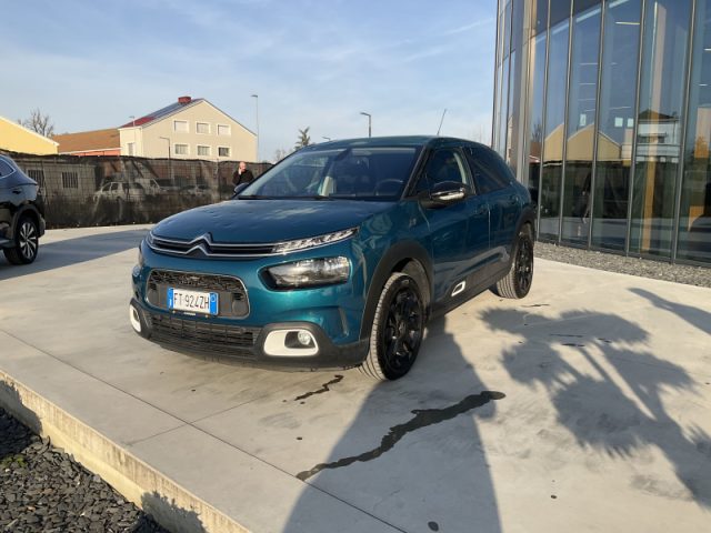 Citroen C4 Cactus BlueHDi 100 S&S Shine - foto 3 di 4