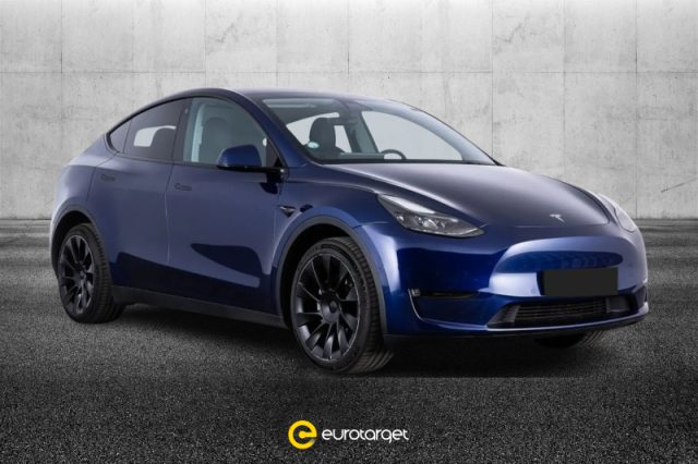 Tesla Model Y Long Range AWD usato a PIEVE DI CENTO
