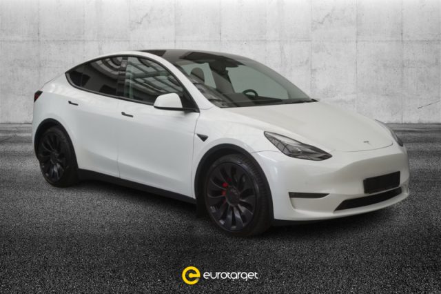 Tesla Model Y AWD Performance usato a PIEVE DI CENTO