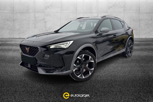 CUPRA Formentor 2.0 TDI 4Drive DSG usato a PIEVE DI CENTO