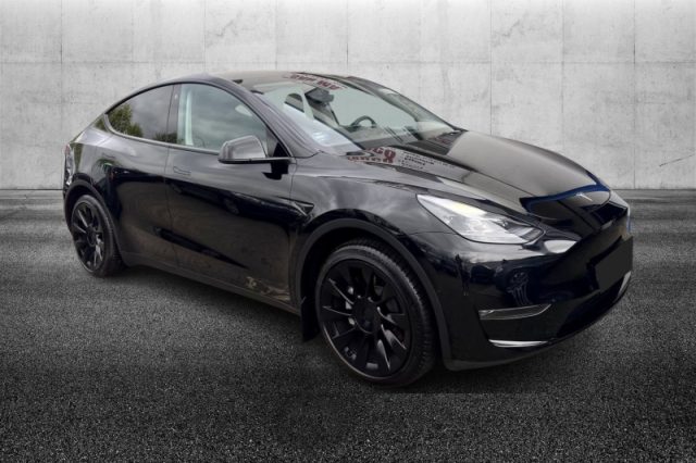 Tesla Model Y Long Range AWD usato a PIEVE DI CENTO