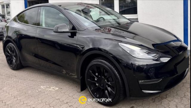 Tesla Model Y Long Range AWD usato a PIEVE DI CENTO