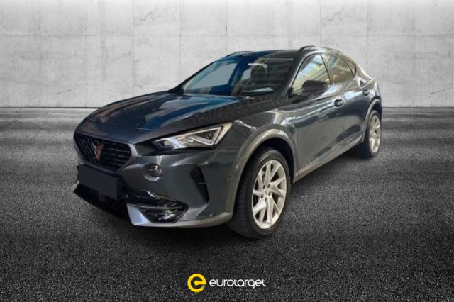 CUPRA Formentor 2.0 TDI 4Drive DSG usato a PIEVE DI CENTO