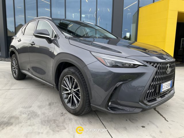 Lexus NX 300 Plug-in 4WD Premium usato a PIEVE DI CENTO