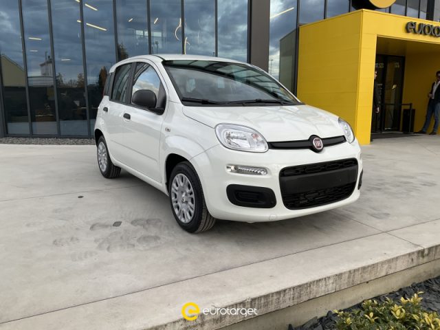 Fiat Panda 1.0 FireFly S&S Hybrid km 0 a PIEVE DI CENTO