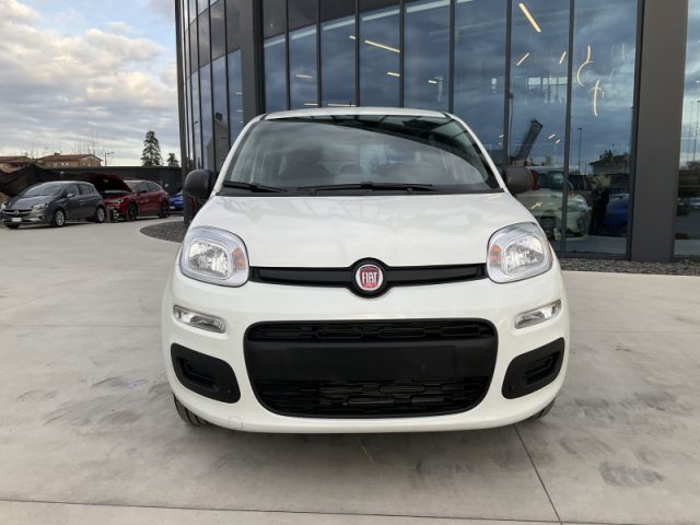 Fiat Panda 1.0 FireFly S&S Hybrid - foto 2 di 4