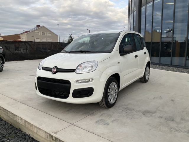 Fiat Panda 1.0 FireFly S&S Hybrid - foto 3 di 4