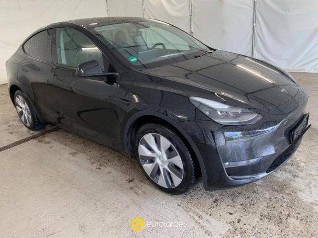 Tesla Model Y Long Range AWD usato a PIEVE DI CENTO