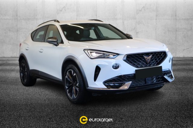 CUPRA Formentor 2.0 TDI 4Drive DSG usato a PIEVE DI CENTO
