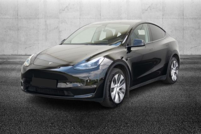 Tesla Model Y Long Range AWD usato a PIEVE DI CENTO