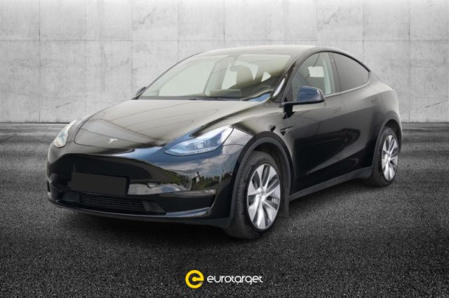 Tesla Model Y Long Range AWD usato a PIEVE DI CENTO