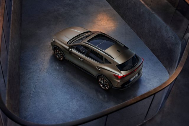 CUPRA Formentor 2.0 TDI DSG Tribe Edition - foto 4 di 4