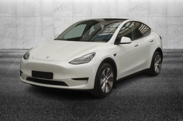 Tesla Model Y RWD usato a PIEVE DI CENTO