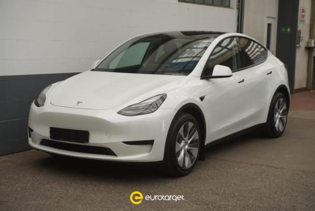 Tesla Model Y RWD usato a PIEVE DI CENTO