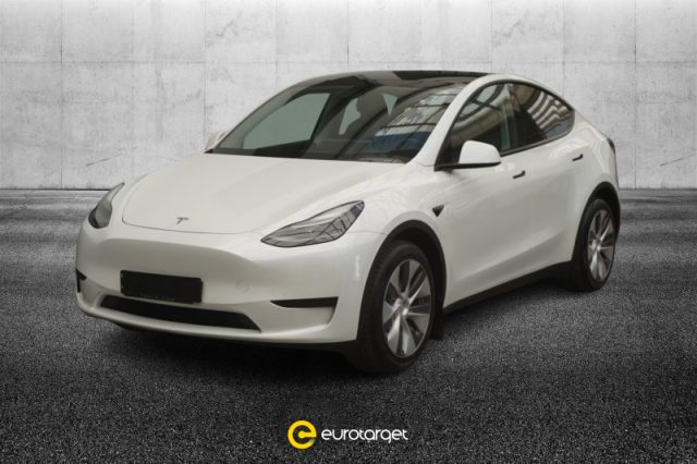 Tesla Model Y RWD usato a PIEVE DI CENTO
