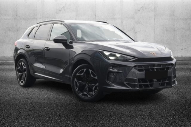 CUPRA Terramar 2.0 TSI DSG 4Drive VZ - foto 2 di 4
