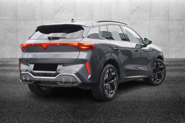 CUPRA Terramar 2.0 TSI DSG 4Drive VZ - foto 3 di 4