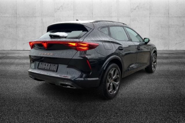 CUPRA Formentor 2.0 TDI DSG - foto 3 di 4
