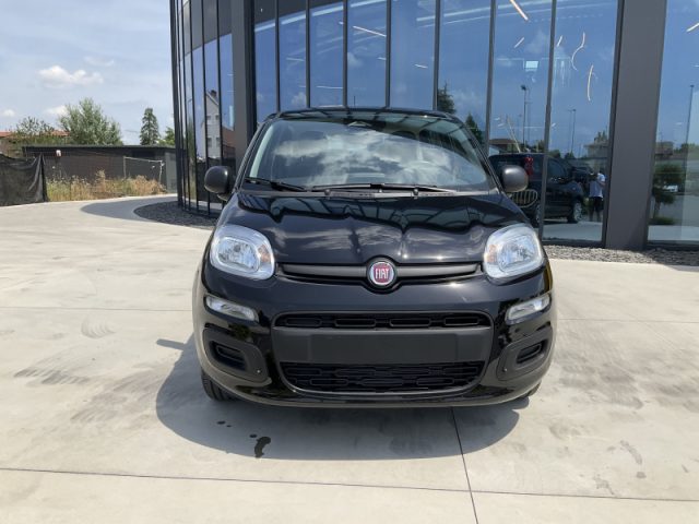 Fiat Panda 1.0 FireFly S&S Hybrid - foto 2 di 8