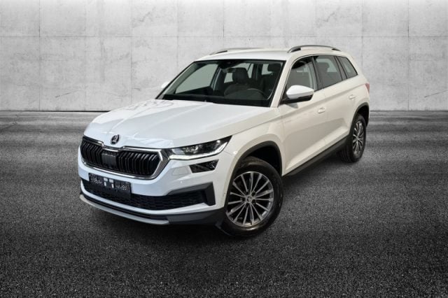 Skoda Kodiaq 2.0 TDI EVO SCR DSG Style usato a PIEVE DI CENTO