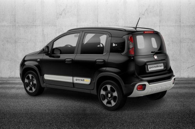 Fiat Panda 1.0 FireFly S&S Hybrid Pandina - foto 3 di 4