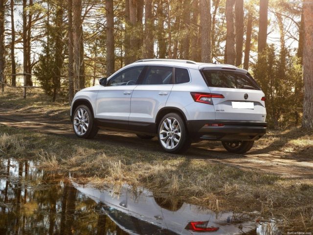 Skoda Karoq 1.5 TSI ACT DSG Selection, in vendita a Pieve Di Cento (BO)
