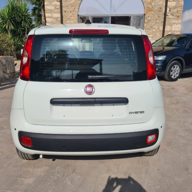 Fiat Pandina 1.0 FireFly 65 CV Hybrid Icon - foto 3 di 4