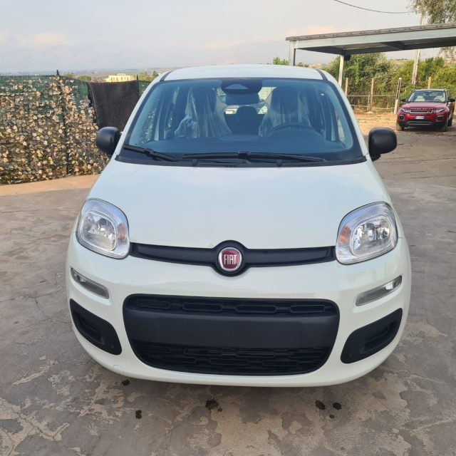 Fiat Pandina 1.0 FireFly 65 CV Hybrid Icon - foto 2 di 4