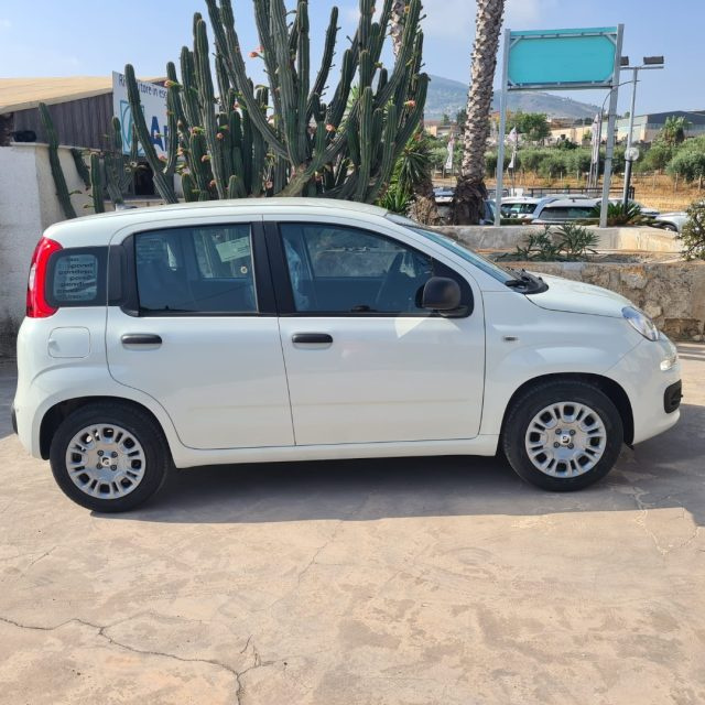 Fiat Pandina 1.0 FireFly 65 CV Hybrid Icon - foto 4 di 4