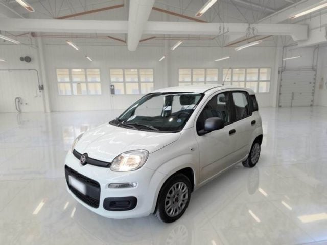 Fiat Panda 1.2 Easy, del 2019, 101.000 km, in vendita a Alcamo (TP)
