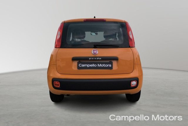 Fiat Panda Panda 1.2 69cv Easy - foto 4 di 4