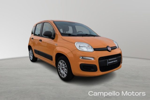 Fiat Panda Panda 1.2 69cv Easy usato a VENEZIA