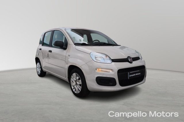 Fiat Panda Panda 1.2 69cv Easy usato a VENEZIA