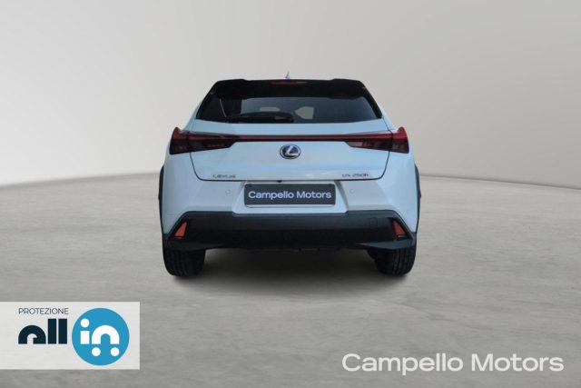 Lexus Other UX UX Hybrid Luxury - foto 4 di 22