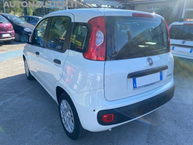 Fiat Panda 1.0 FIREFLY S&S HYBRID PANDINA 70cv - foto 3 di 4