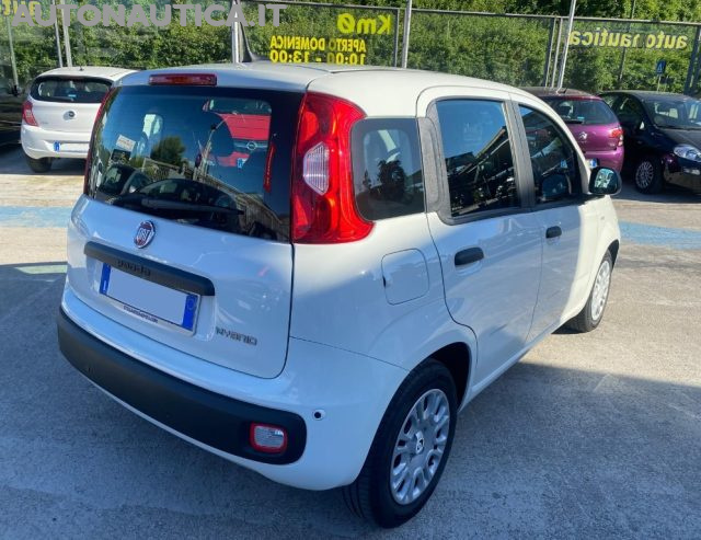 Fiat Panda 1.0 FIREFLY S&S HYBRID PANDINA 70cv - foto 4 di 4