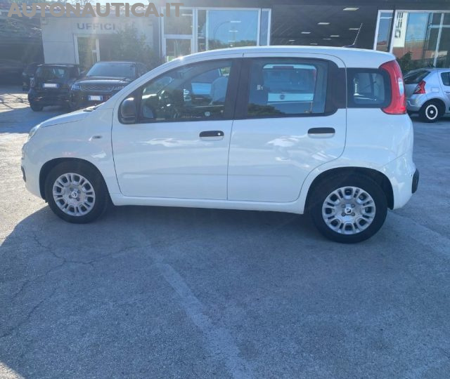 Fiat Panda 1.0 FIREFLY S&S HYBRID PANDINA 70cv - foto 2 di 4