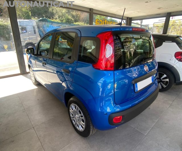 Fiat Panda 1.0 FireFly S&S Hybrid Icon 70cv - foto 3 di 4