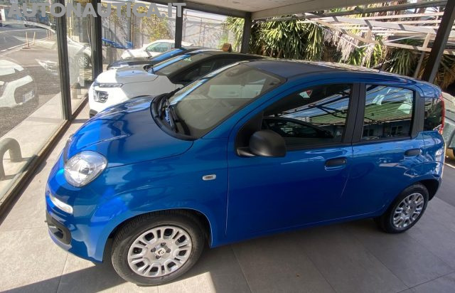 Fiat Panda 1.0 FireFly S&S Hybrid Icon 70cv - foto 2 di 4