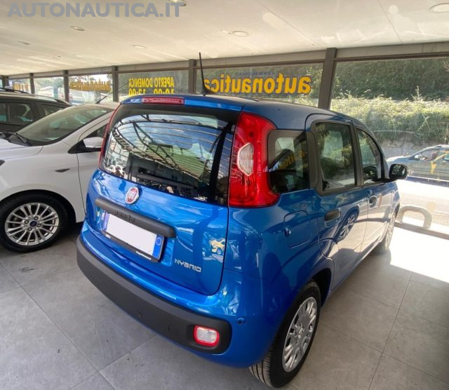 Fiat Panda 1.0 FireFly S&S Hybrid Icon 70cv - foto 4 di 4