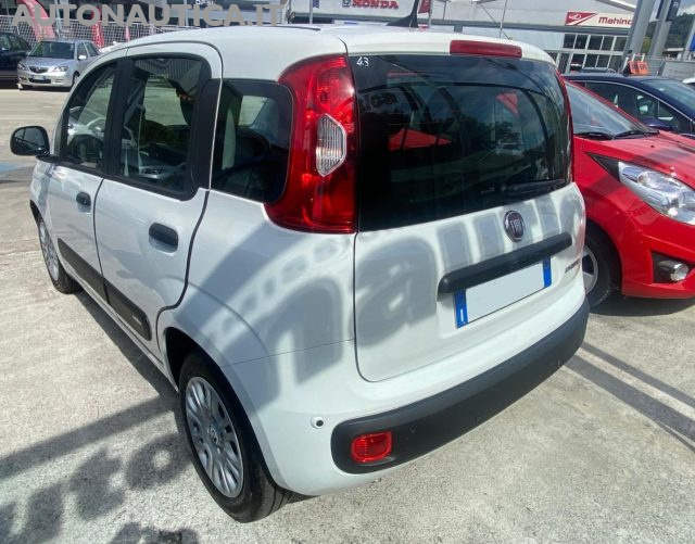 Fiat Panda 1.0 FireFly S&S Hybrid Icon 70cv - foto 2 di 4