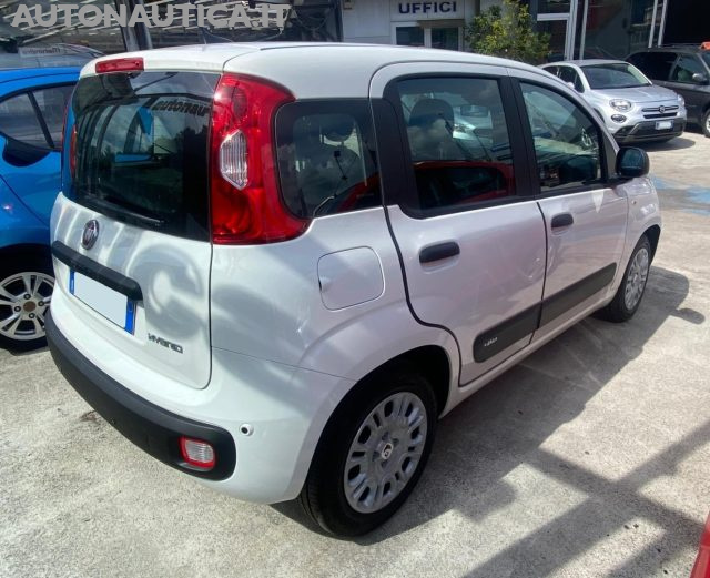 Fiat Panda 1.0 FireFly S&S Hybrid Icon 70cv - foto 3 di 4